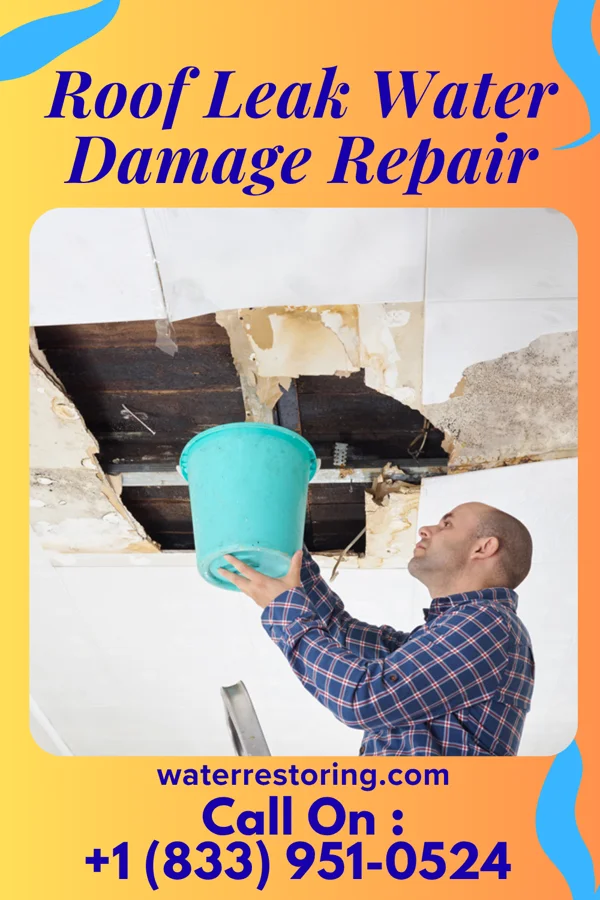 Roof Leak Water Damage Repair in Troutdale, OR